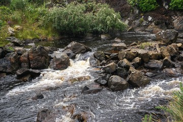 Rushing whitewater mountain stream