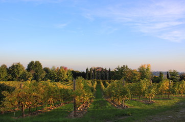 strada prosecco vino