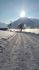 Weg am See im Winter