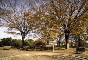 秋の終わりの公園