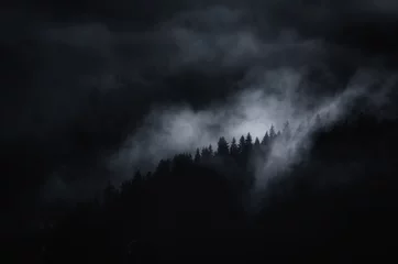 Papier Peint photo Colline paysage sombre, montagne brumeuse avec des arbres la nuit