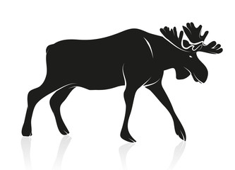 Silhouette eines Elchs auf weißem Hintergrund