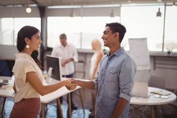 Businessman and businesswoman shaking hands in office