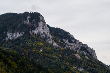 Fototapeta na wymiar Mountain covered by an autumn colored forest in southern Austria
