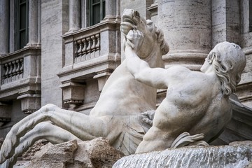horse agitated, the Trevi Fountain.