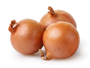 Onion bulbs isolated on white background with clipping path