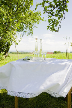 Homemade liqueur, syrup on a table in the garden, homemade, Bavaria, Germany