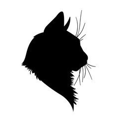 Cat head silhouette. Vector illustration in monochrome style on white background. 