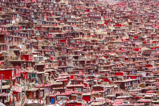 Red monastery and home at Larung gar (Buddhist Academy) in sunshine day and background is blue sky, Sichuan, China.