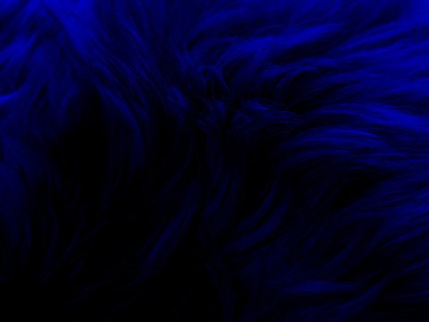 hair blue fur