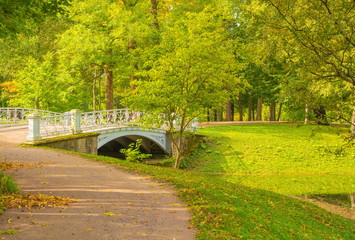 path in autumn park and white fishnet bridge