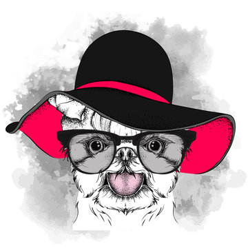 Girl puppy in a hat. Yorkshire Terrier. Vector illustration