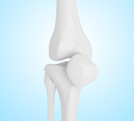 3d illustration of human knee bones
