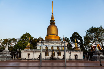 Fototapeta premium Pratat sawi, Chumphon