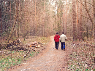 Fototapeta premium An elderly couple is walking along a forest path. In the hands of people there are walking sticks. Man and woman support a healthy lifestyle