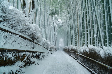 京都嵐山竹林の雪景色