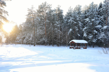 wooden gazebo in forest in winter sunny day