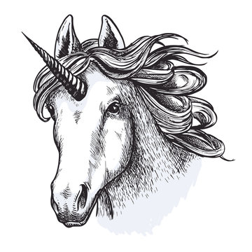 Unicorn horse mystic magic animal vector sketch