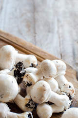 Champignon Mushrooms  on a table