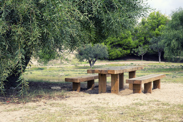wooden picnic table in park