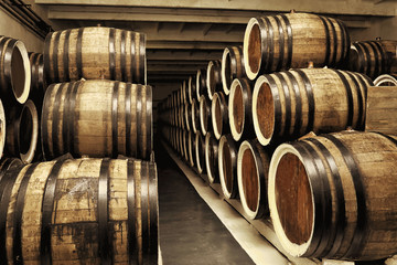 Wooden barrels with wine in cellar