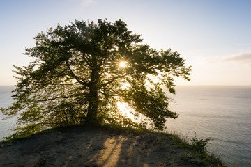 Fototapeta na wymiar Buchenwald und Kreideküste auf Insel Rügen am Morgen im Herbst