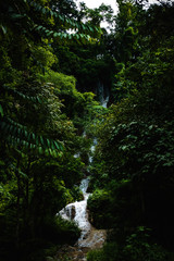 Waterfall in the deep jungle