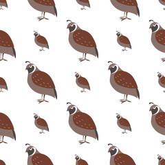 Cartoon Quail Seamless Pattern on White Vector