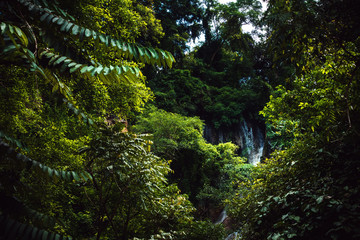 Waterfall in the deep jungle