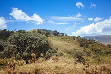 Naklejka premium Serengeti Hill