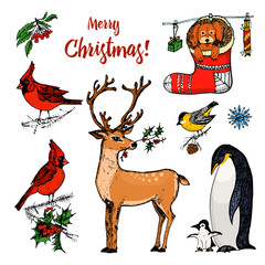 Christmas horned deer and animals. New Year penguin and bird cardinal or tit in the forest. winter holidays. engraved hand drawn in old sketch and vintage style for postcards.