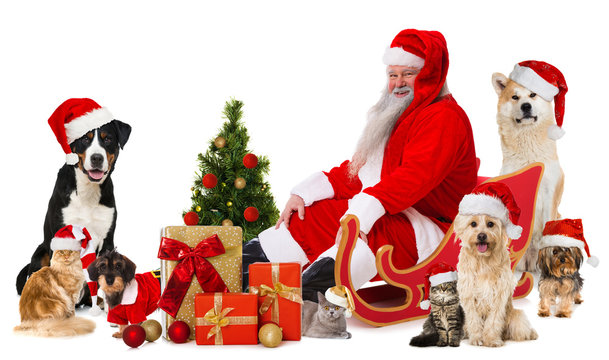 Weihnachtsmann mit Haustieren