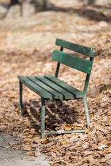 forest park bench isolated