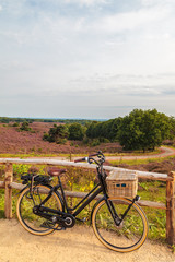 Fototapeta premium Electric black cargo bicycle with basket in Dutch national park The Veluwe