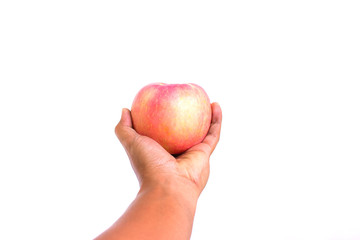 hand holds light red apple. Apple fruit on white background. copy space. Apple in fresh and juicy color. healthy food concept and life style. Vitamins and fitness concept.