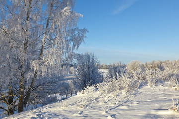 Winter landscape