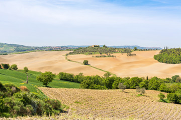Fototapeta na wymiar Rural landscape view with rolling fields