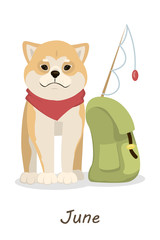 Shiba dogs calendar.