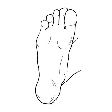 the foot male up sole.  illustration