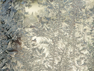 Frost flower on a window