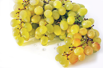 Beautiful vine on a white background. Green grapes. Wet grapes