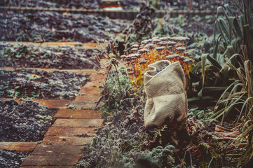 Kleingartenanlage mit Frost im Winter