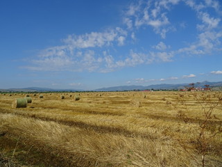 Fototapeta na wymiar haystacks on a field 2