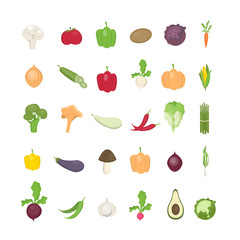 Vegetables illustrations set.