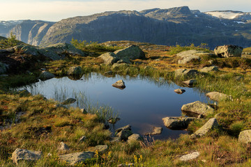 Fototapeta premium Small pond on the track to Trolltunga, in a beautiful landscape in Odda, Norway