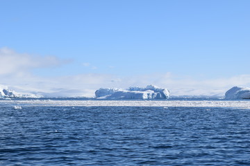 antartica