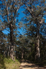 Entrance Walk in Lakes Entrance in Australia
