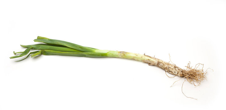 Calcot