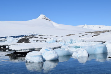 antartica
