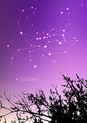 Scorpio zodiac constellations sign with forest landscape silhouette on beautiful starry sky with galaxy and space behind. Scorpio horoscope symbol constellation on deep cosmos background. Card design